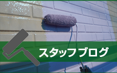 スタッフブログ